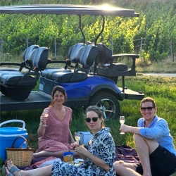 Visite du vignoble en voiturette lectrique