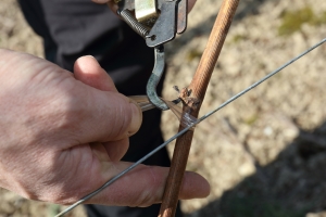 Champagne FALLET Jean-Luc et Alexandra - La liage traditionnel